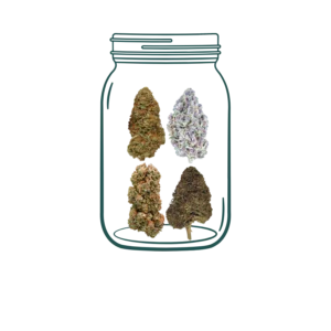 1 THCa vs CBD Best Sellers Sampler Pack