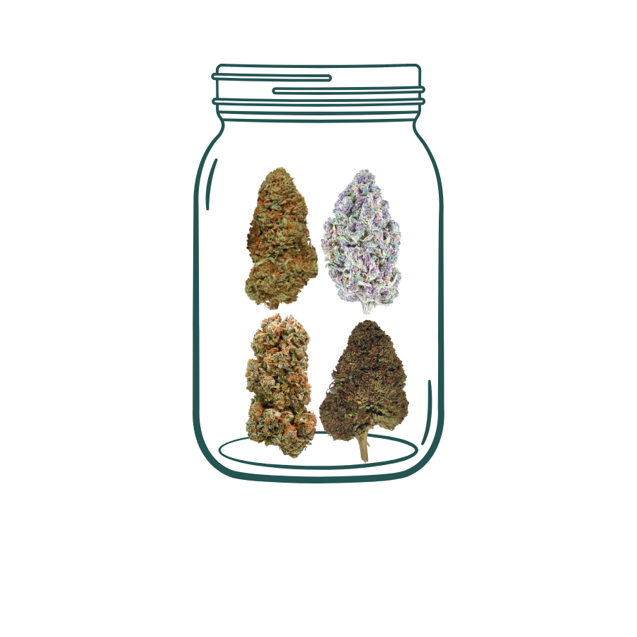 1 THCa vs CBD Best Sellers Sampler Pack