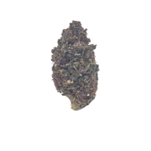 Cashmere Kitty Hemp Flower
