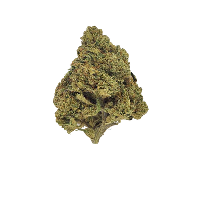 Gary Payton THCa Flower (Living Soil)