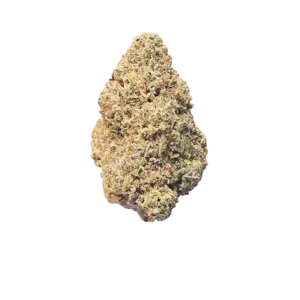 Ice Cream Cookies THCa Flower (Indoor)