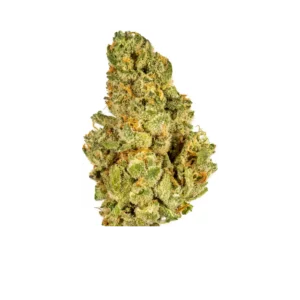 Kush Mint Cookies THCa Flower (Indoor)