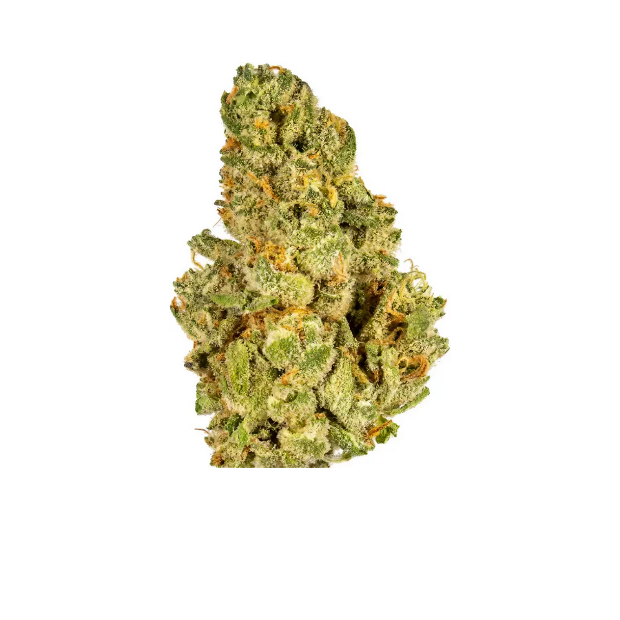 Kush Mint Cookies THCa Flower (Indoor)