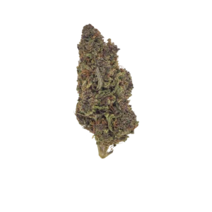 Rainbow Sherbet Hemp Flower
